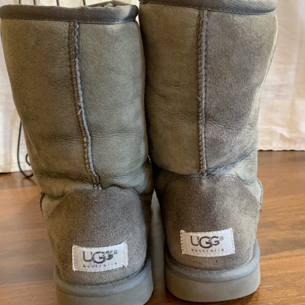 Gray short classic Ugg’s